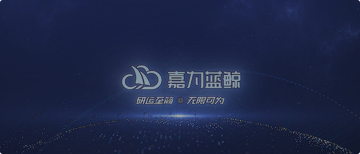 持续专注、钻研IT领域服务